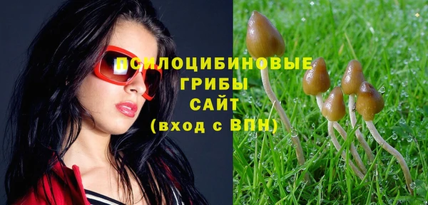 ECSTASY Баксан