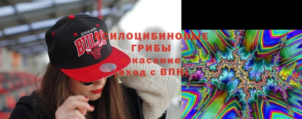 мдпв Балахна