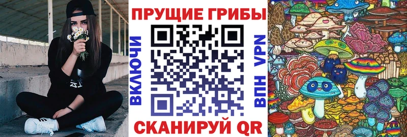где купить наркотик  Обь  Псилоцибиновые грибы ЛСД 